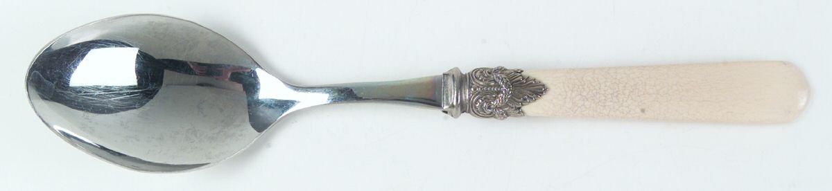 Napoleon-Ivory (Stainless) Tablespoon (Serving Spoon) by EME Flatware-1