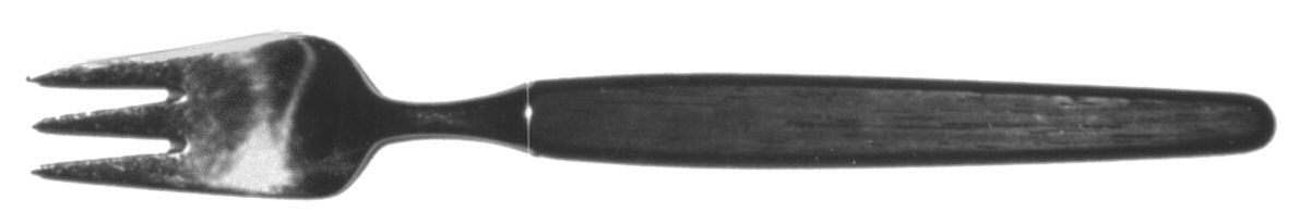 ECH1-STAINLESS Individual Salad Fork by Echoff-1