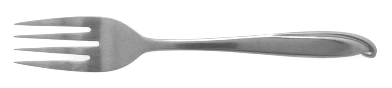 EVS22 (Stainless) Individual Salad Fork by Everbrite Stainless-1