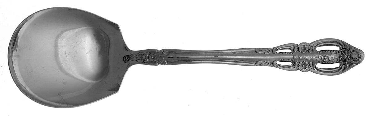 EVS28 (Stainless) Solid Smooth Casserole Spoon by Everbrite Stainless-1