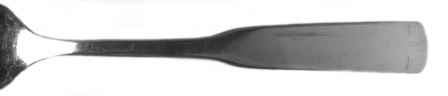 EVS29 (Stainless) Individual Salad Fork by Everbrite Stainless-1