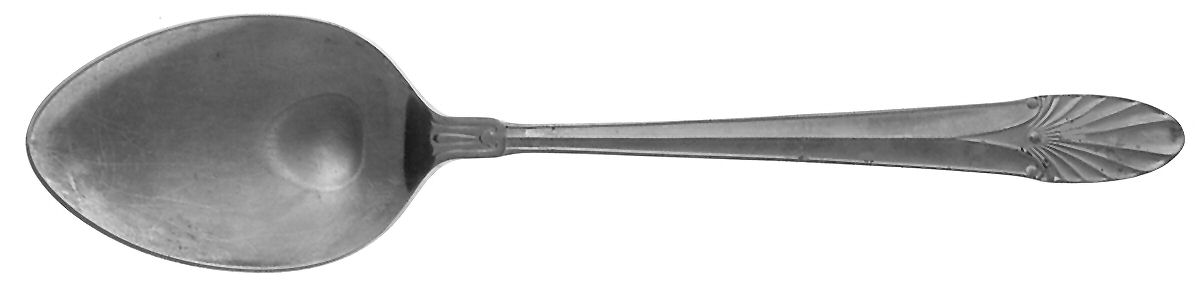 Aural (Stainless) Tablespoon (Serving Spoon) by EC Ltd-1