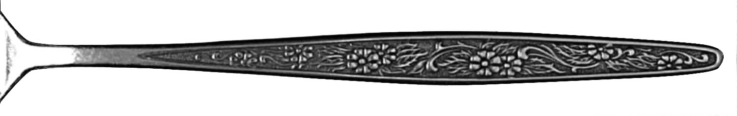 EVS32 (Stainless) Iced Tea Spoon by Everbrite Stainless-1