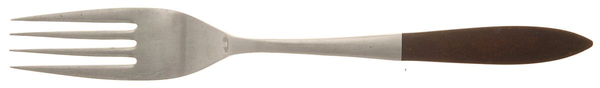 EPS15 (Stainless) Fork by Epic Silver-1