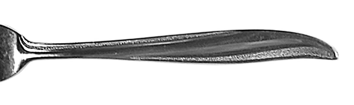EVS34 (STAINLESS) Fork by Everbrite Stainless-1