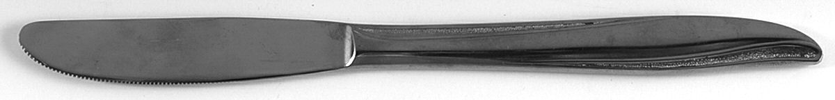 EVS34 (STAINLESS) Modern Solid Knife by Everbrite Stainless-1