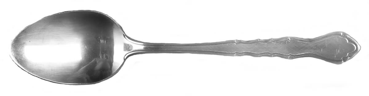 ESI14 (Stainless) Tablespoon (Serving Spoon) by Estia-1