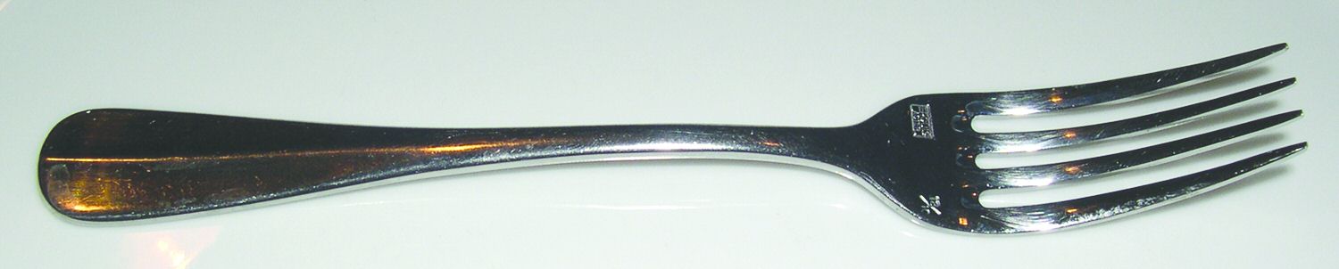 Bali (Stainless) Fork by Ercuis-1