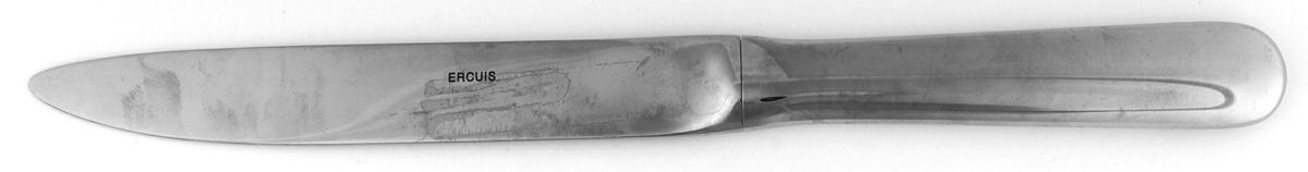 Palace (Stainless) Modern Solid Knife by Ercuis-1