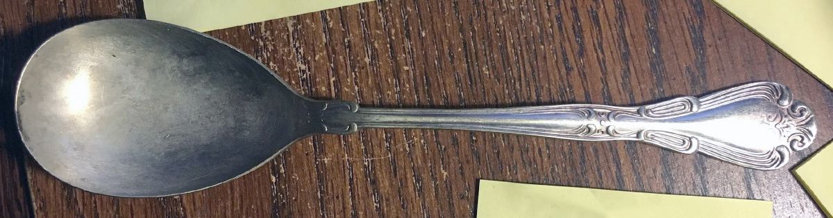 ELD29 (Nickel Silver) Solid Salad Serving Spoon by Eldan-1