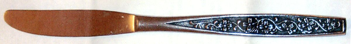 EVS38 (Stainless) Modern Hollow Knife by Everbrite Stainless-1