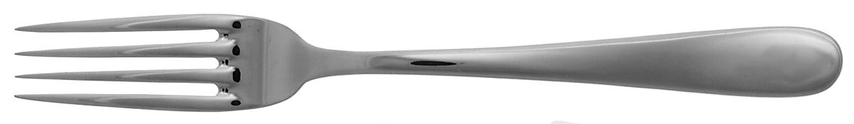 ENI1 (Stainless) Fork by Enigma-1
