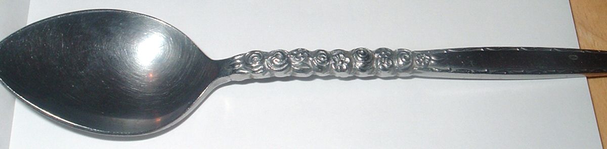 EVS39 (Stainless) Teaspoon by Everbrite Stainless-1