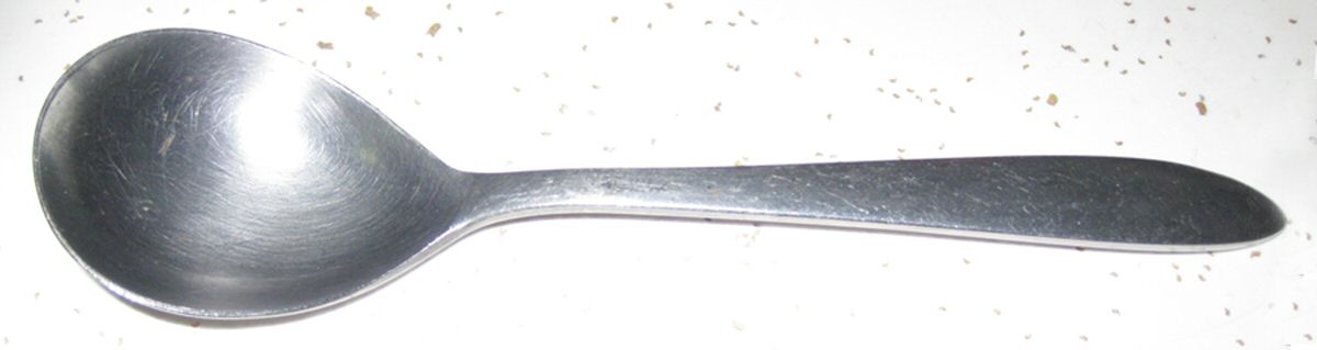 EMS8 (Stainless) Teaspoon by Empress-1