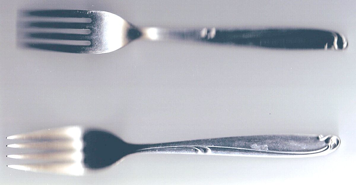EVR2 (Stainless) Fork by Everlasting-1