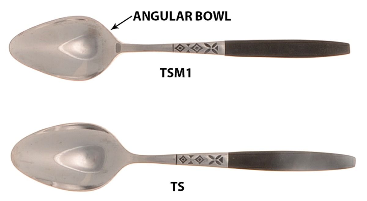 EKS5A (Stainless) Teaspoon by Ekco Silver-1