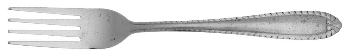 ETF2 (Stainless) Fork by Essential Home-1