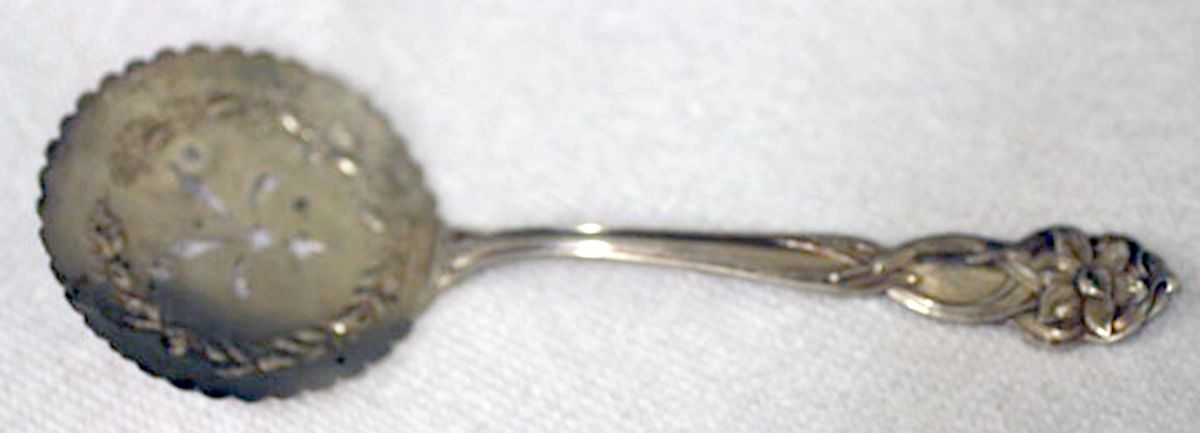 Narcissus (Sterling, 1905) Solid Bon Bon Spoon with Pierced Bowl by Fessenden-1