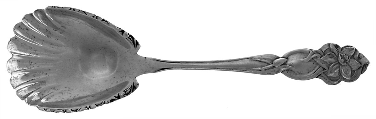 Narcissus (Sterling, 1905) Sugar Shell Spoon by Fessenden-1