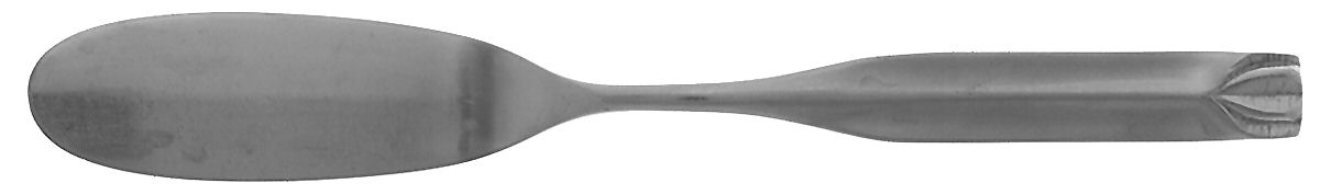 Avalon (Stainless) Flat Handle Master Butter Knife by Franciscan-1