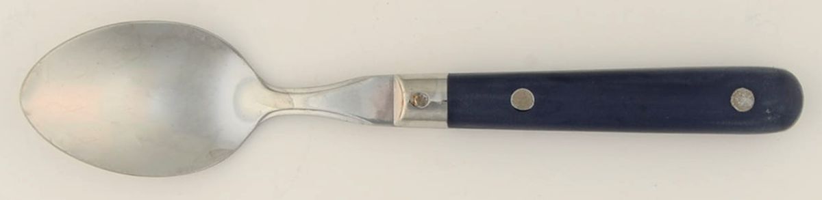 Colours-Navy Blue (Stainless) Teaspoon by Farberware-1