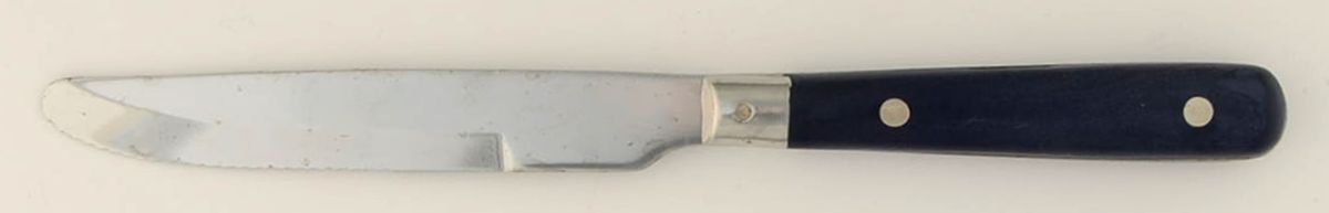 Colours-Navy Blue (Stainless) New French Hollow Knife by Farberware-1