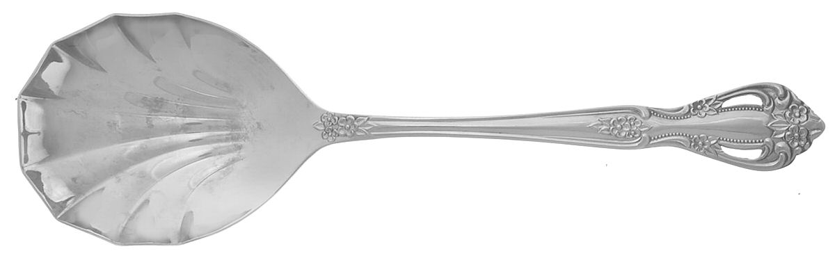 Regal (Stainless) Solid Shell Casserole Spoon by Farberware-1