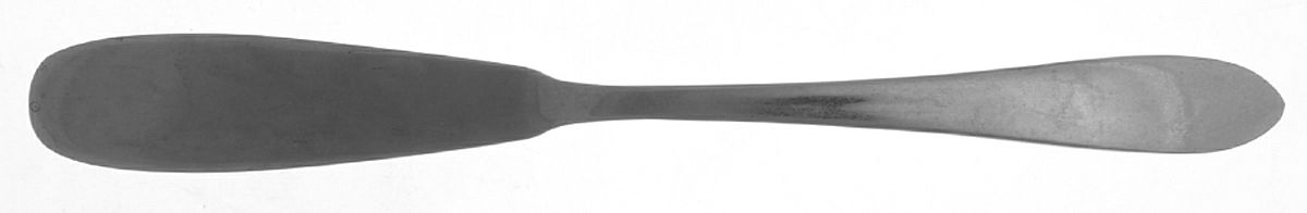 Savannah (Stainless) Flat Handle Master Butter Knife by Farberware-1