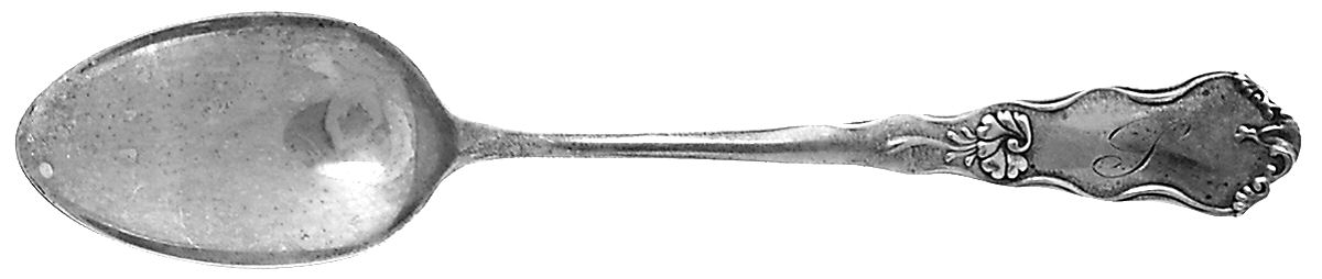Gothic (Sterling, 1893) Teaspoon by Frank Whiting-1