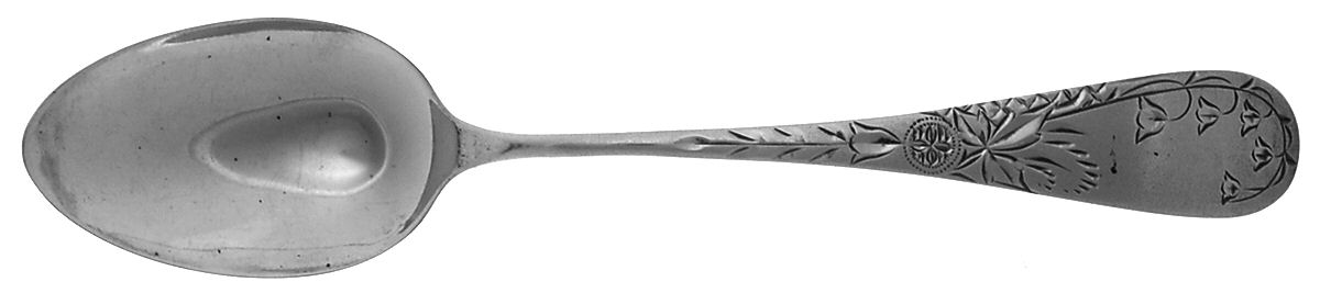 Lily-Engraved (Sterling, 1885) Five O'Clock Teaspoon by Frank Whiting-1