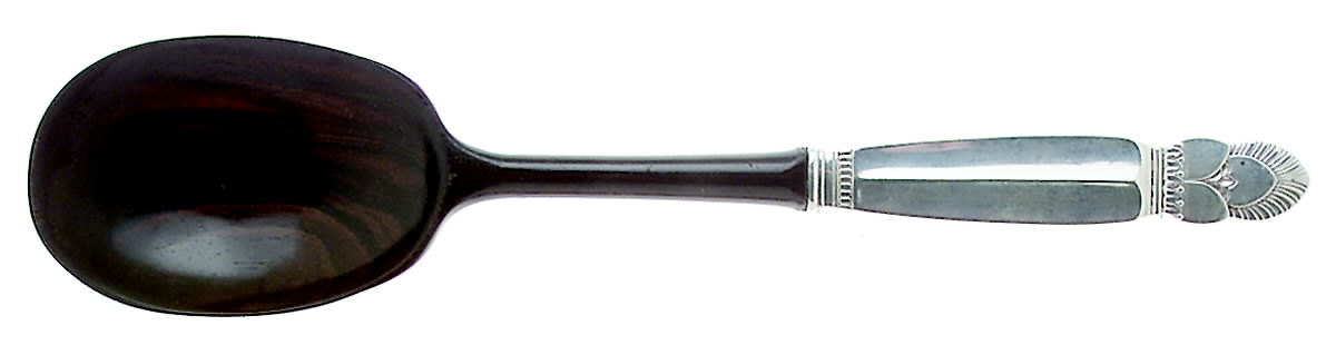 Princess Ingrid (Sterling) Salad Serving Spoon with Plastic Bowl by Frank Whiting-1