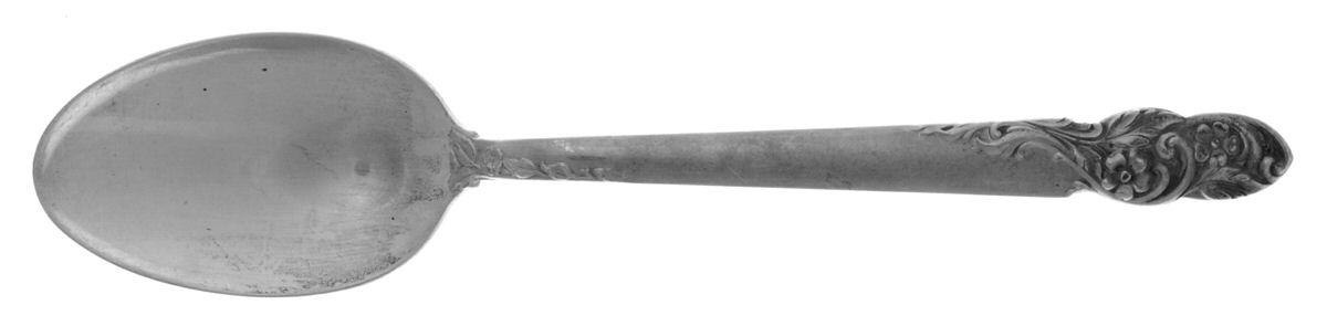Rose of Sharon (Sterling, 1954) Teaspoon by Frank Whiting-1