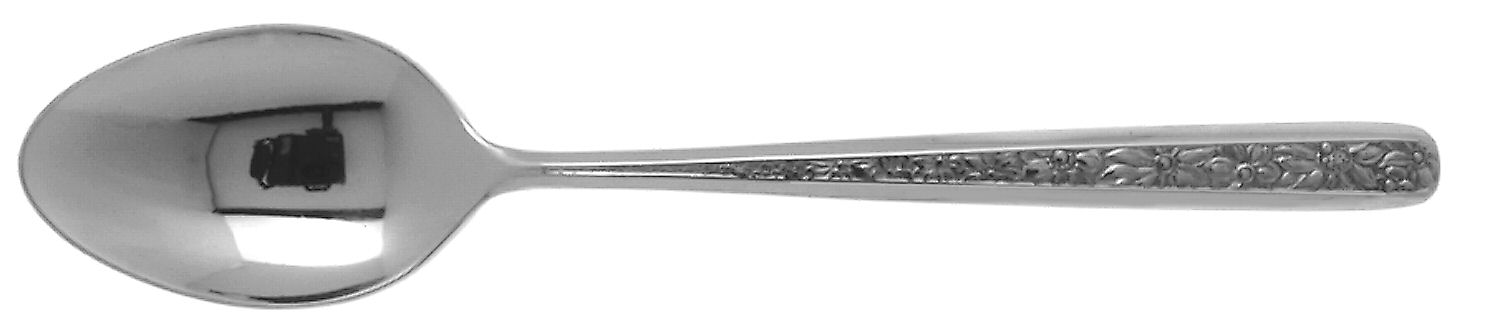Jardine (Stainless) Teaspoon by F B Rogers-1