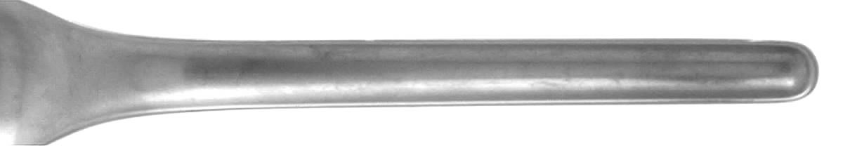 FRG6 (Stainless) Fork by Frigast-1