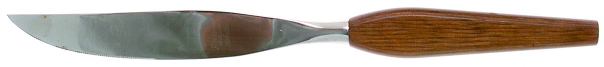 FLT1 (STAINLESS) Small Steak Carving Knife with Stainless Blade by Fleetwood Stainless-1
