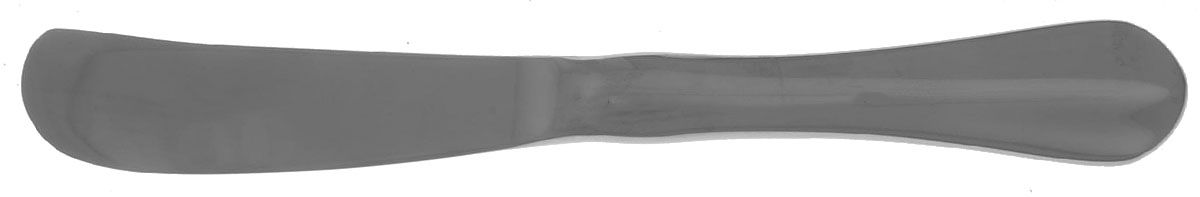 Forge (Stainless) Master Butter Spreader, Solid Piece by Fortessa-1