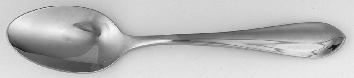 Forge (Stainless) Tablespoon (Serving Spoon) by Fortessa-1