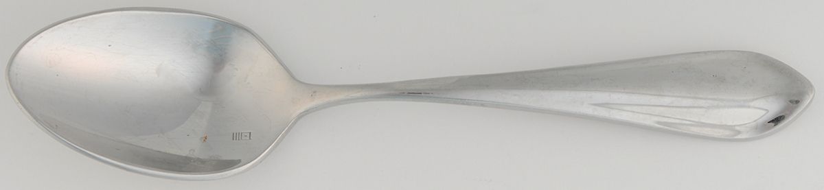 Forge (Stainless) Place/Oval Soup Spoon by Fortessa-1
