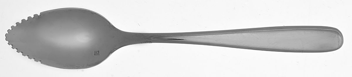 Grand City (Stainless) Individual Grapefruit Spoon by Fortessa-1