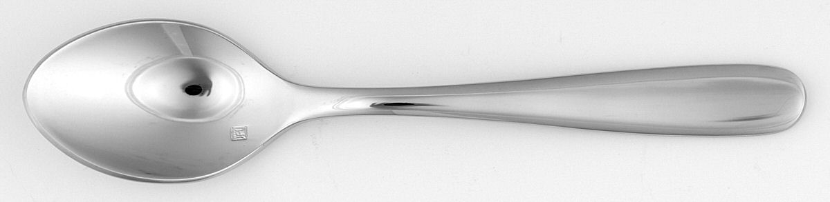 Grand City (Stainless) Teaspoon by Fortessa-1