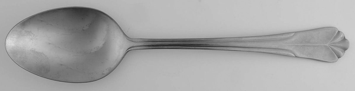 Bevel Bay (Stainless) Tablespoon (Serving Spoon) by Farberware-1