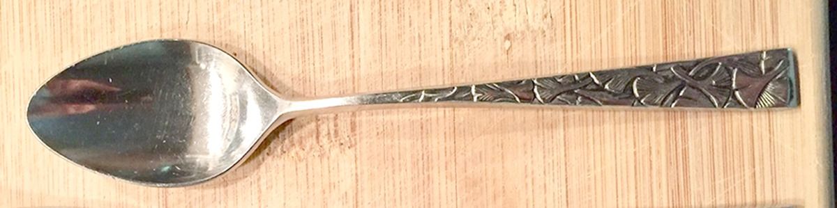 FJG2 (Stainless) Teaspoon by FJG-1
