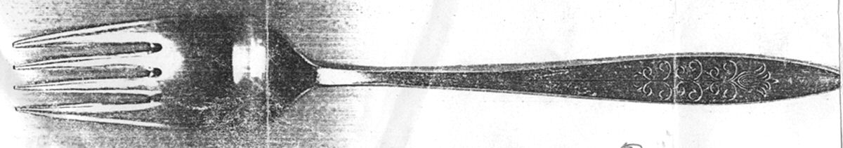 FJG3 (Stainless) Fork by FJG-1