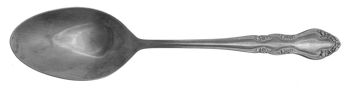 Radiance (Stainless) Tablespoon (Serving Spoon) by Farberware-1
