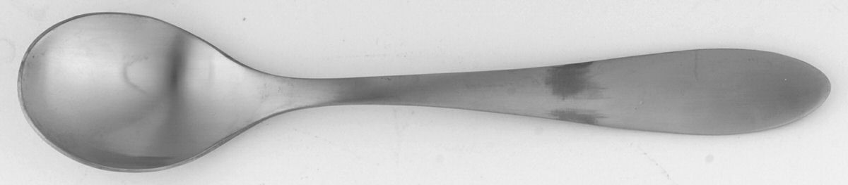 Basil (Stainless) Sugar Spoon by Food Network-1