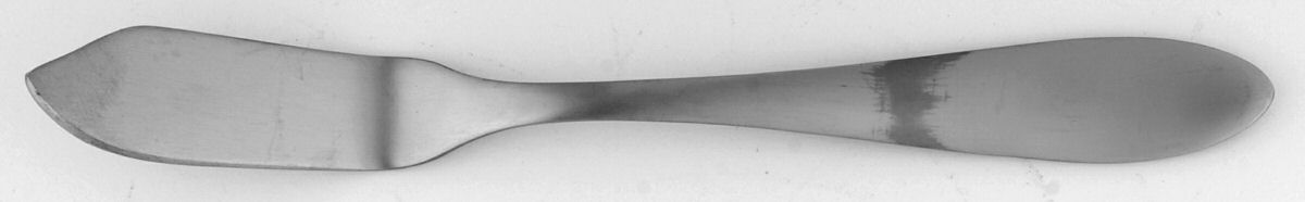 Basil (Stainless) Flat Handle Master Butter Knife by Food Network-1