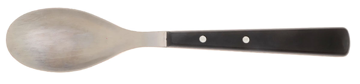 Hibiscus-Black (Stainless, Plastic) Place/Oval Soup Spoon by Food Network-1
