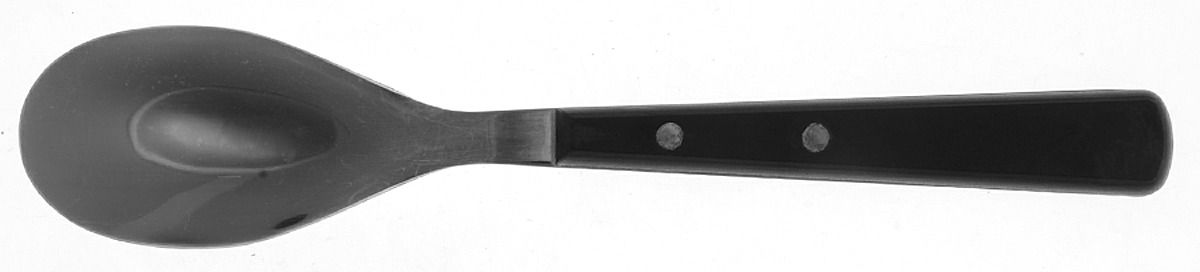 Hibiscus-Black (Stainless, Plastic) Teaspoon by Food Network-1