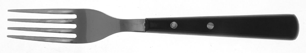 Hibiscus-Black (Stainless, Plastic) Individual Salad Fork by Food Network-1