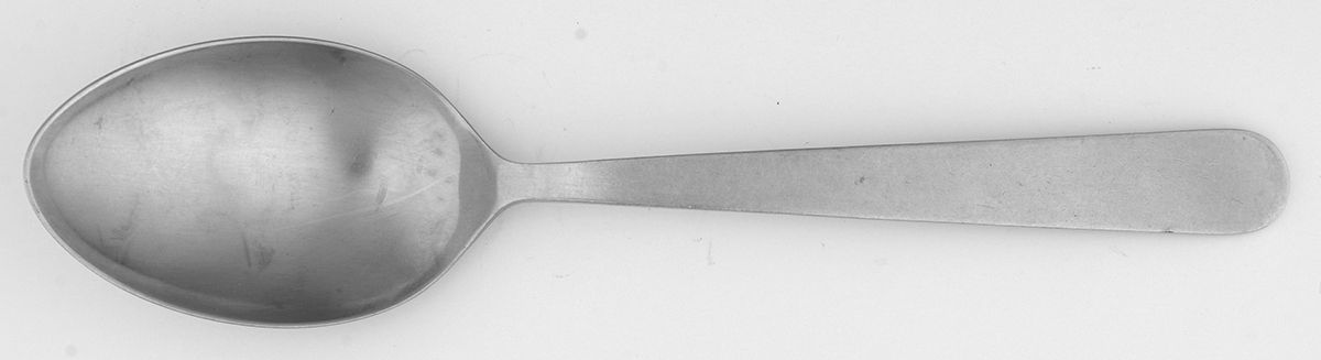 FIR12 (Stainless) Tablespoon (Serving Spoon) by Firth-1